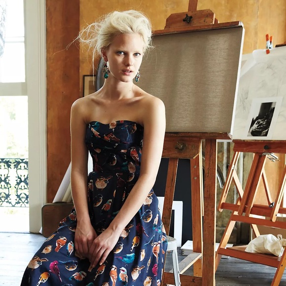 Maeve Dresses & Skirts - Anthropologie Maeve Strapless Dress Native Birds